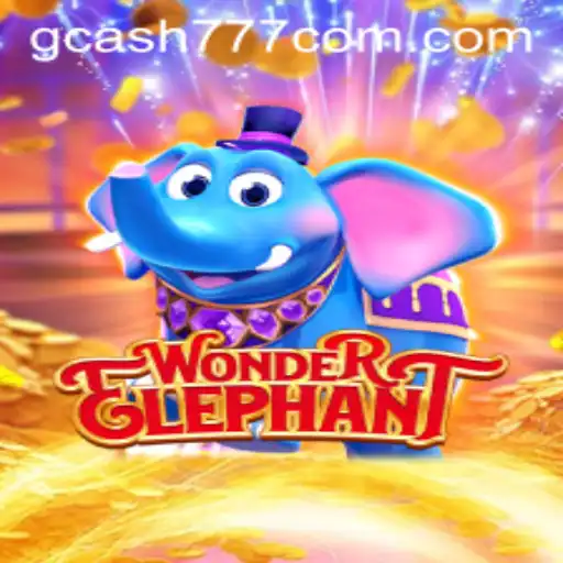 Explore the World of WonderElephant